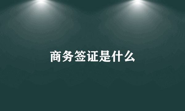 商务签证是什么