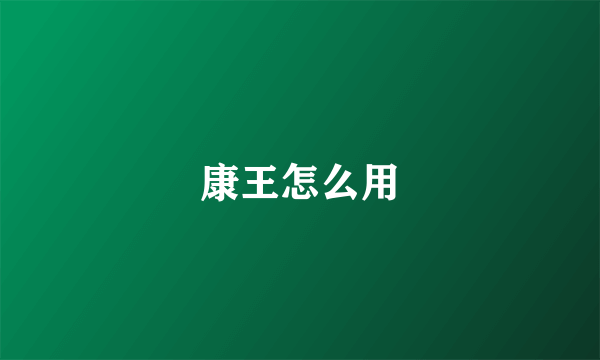 康王怎么用