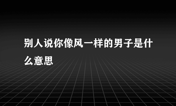 别人说你像风一样的男子是什么意思