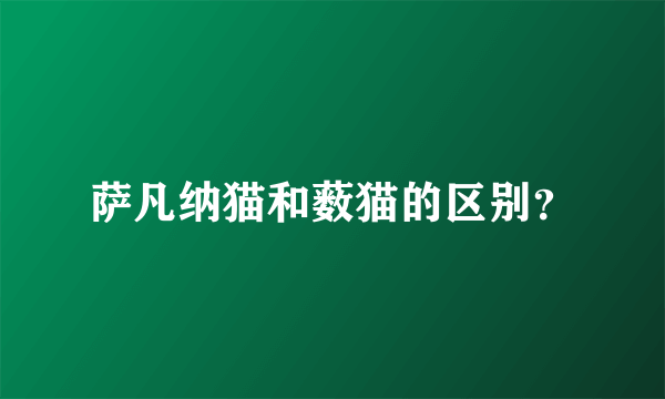 萨凡纳猫和薮猫的区别？