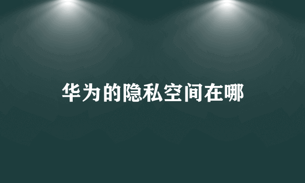 华为的隐私空间在哪