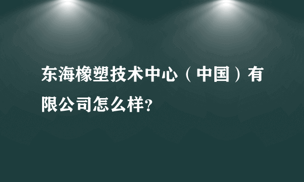 东海橡塑技术中心（中国）有限公司怎么样？