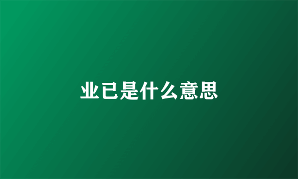 业已是什么意思