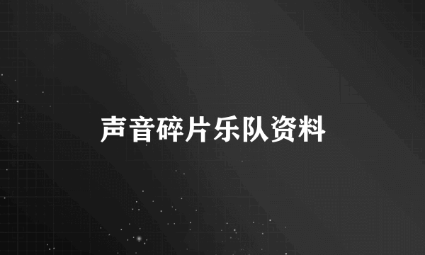 声音碎片乐队资料