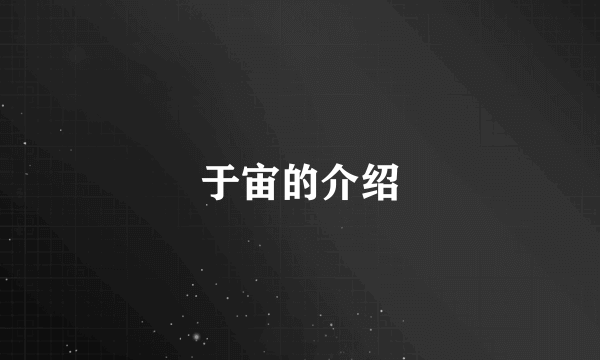 于宙的介绍