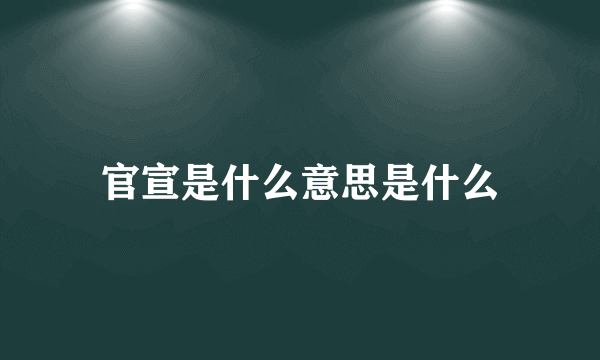 官宣是什么意思是什么