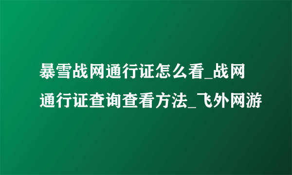 暴雪战网通行证怎么看_战网通行证查询查看方法_飞外网游
