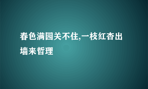 春色满园关不住,一枝红杏出墙来哲理