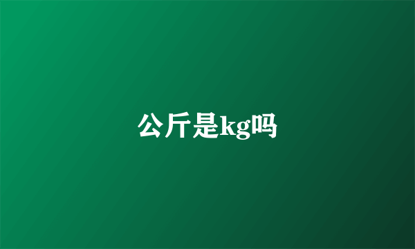 公斤是kg吗
